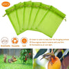 Grapes Fruit Protection Bags