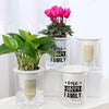 Mini Self Watering Planter