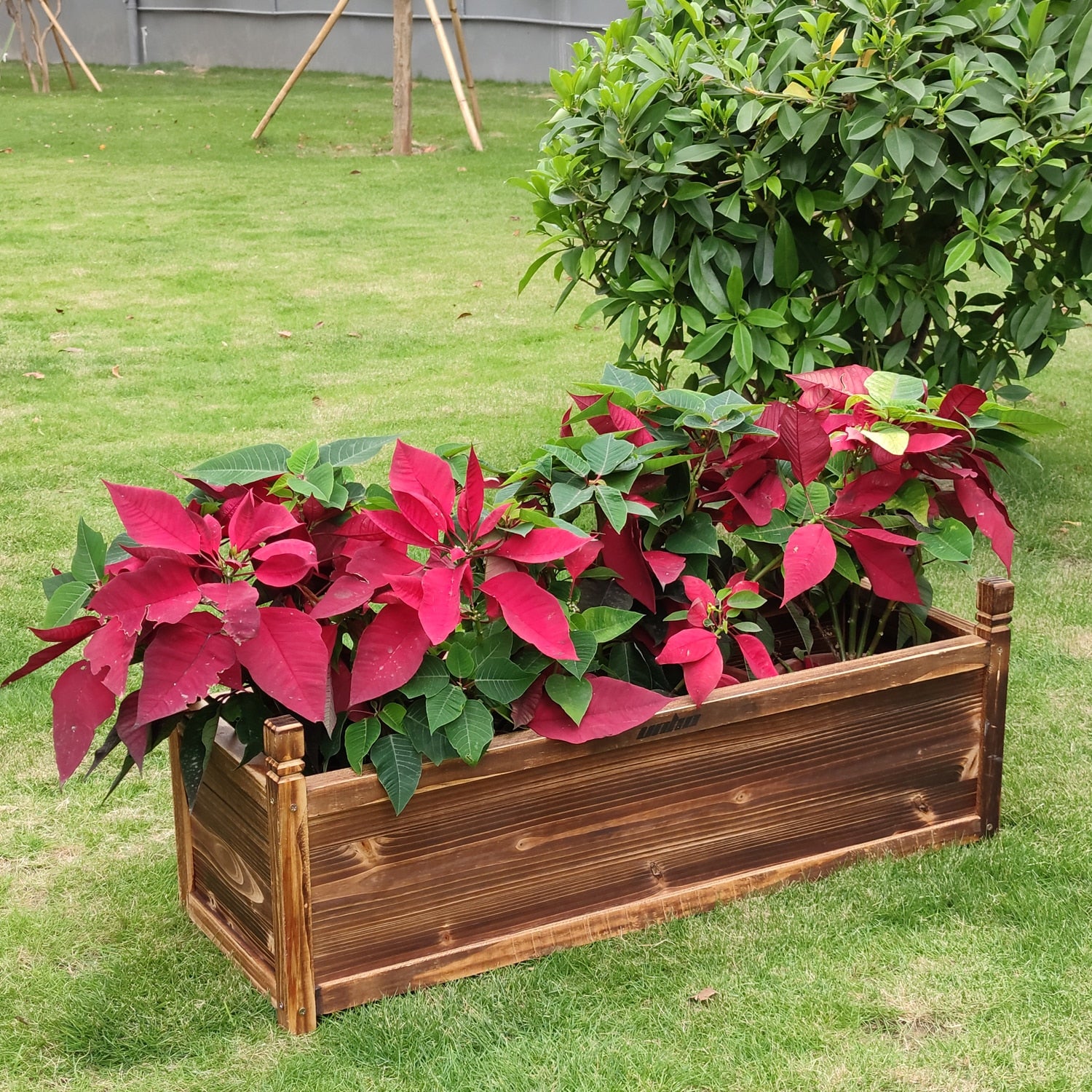 Plant Box for Garden