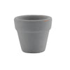 Mini Teeny Colourful Terracotta Pot