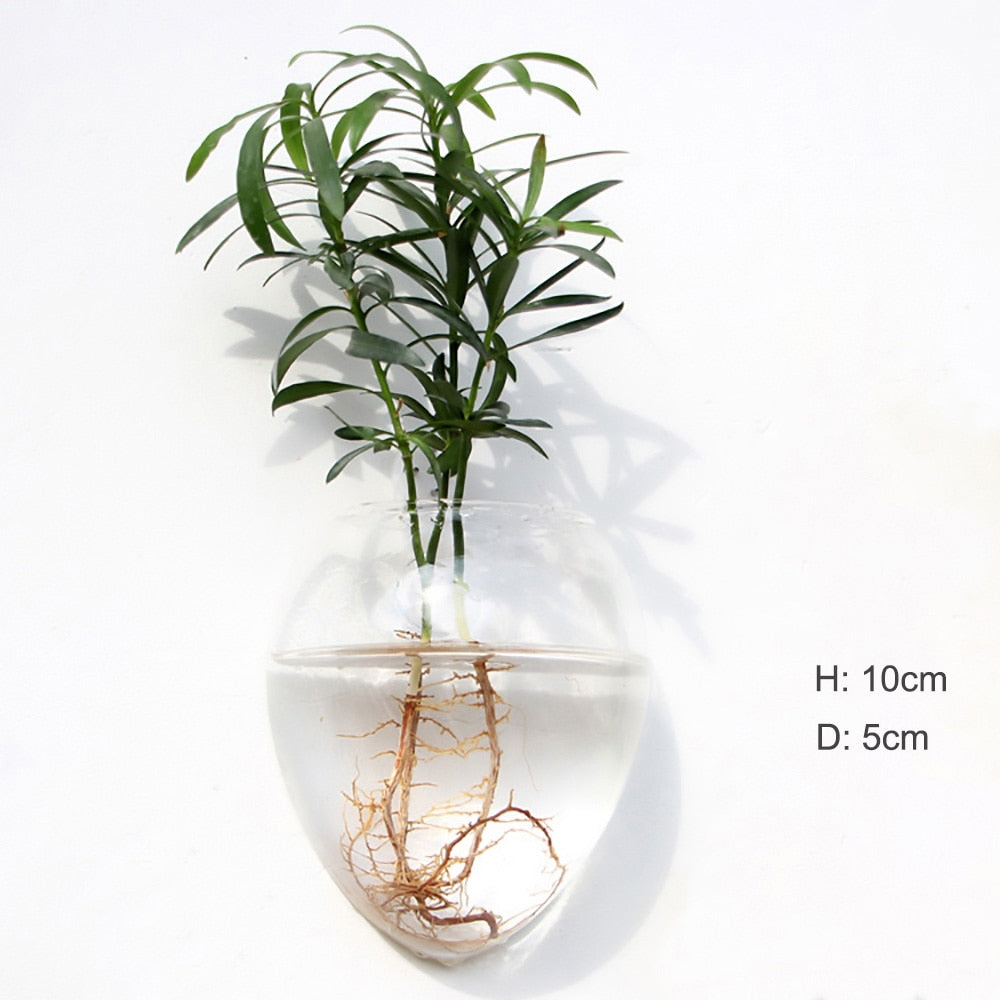 Wall Hanging Glass vase