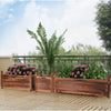 Plant Box for Garden