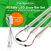 Plants High Luminous Efficiency Grow Light