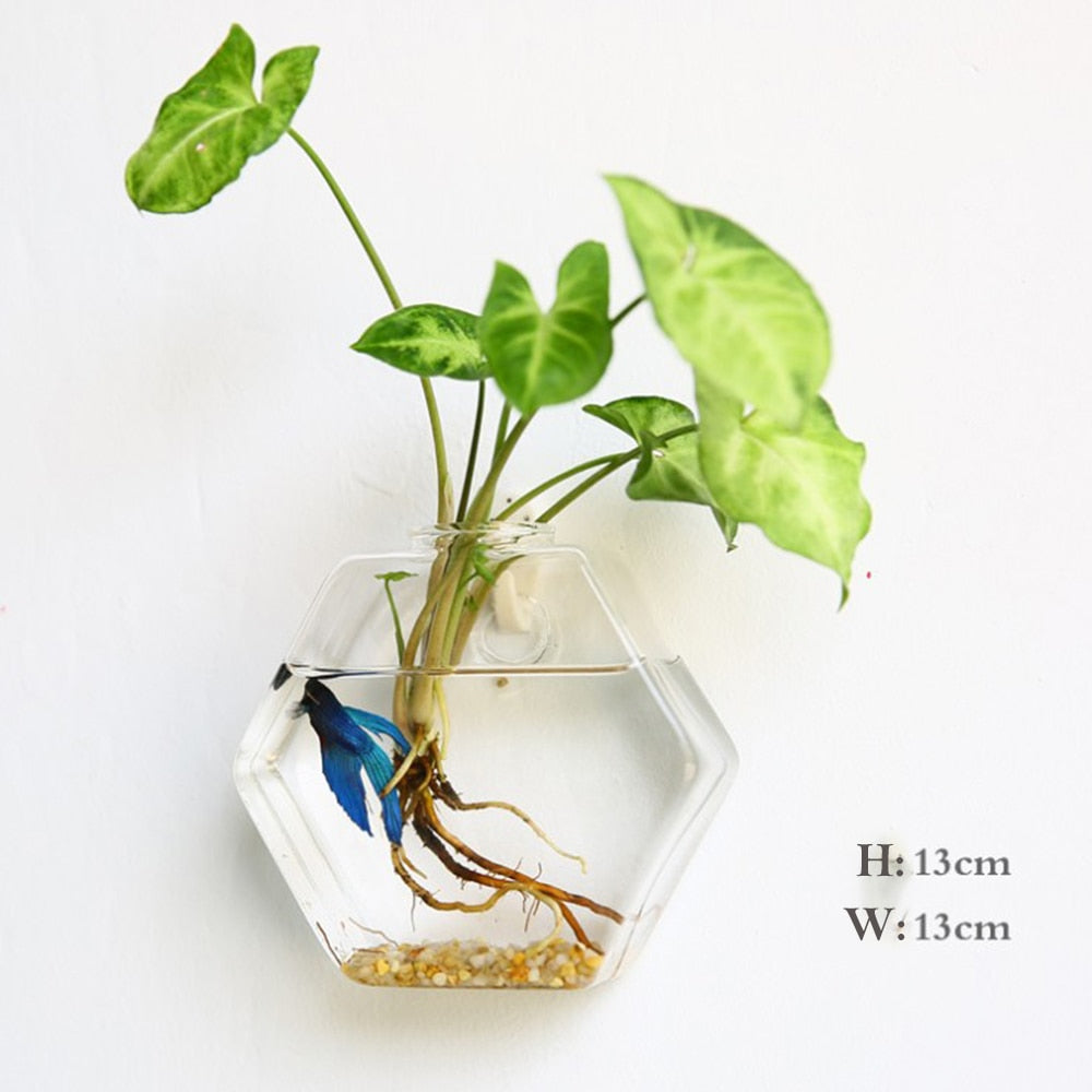 Wall Hanging Glass vase