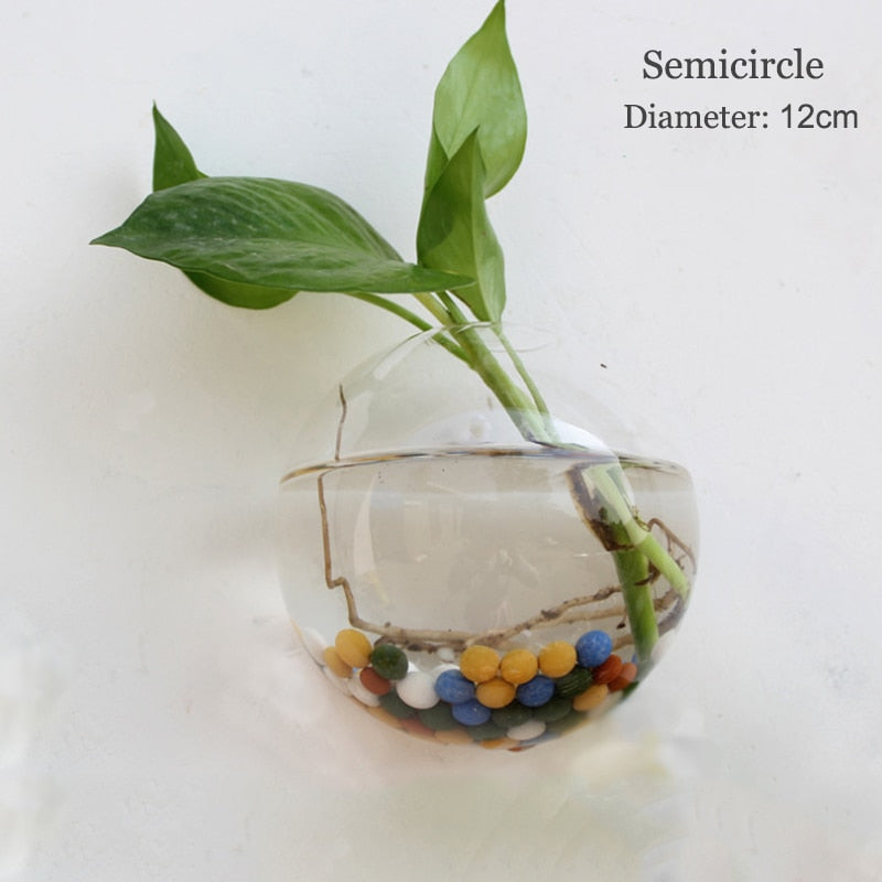 Wall Hanging Glass vase