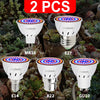 Led Hydroponic Plant Growth