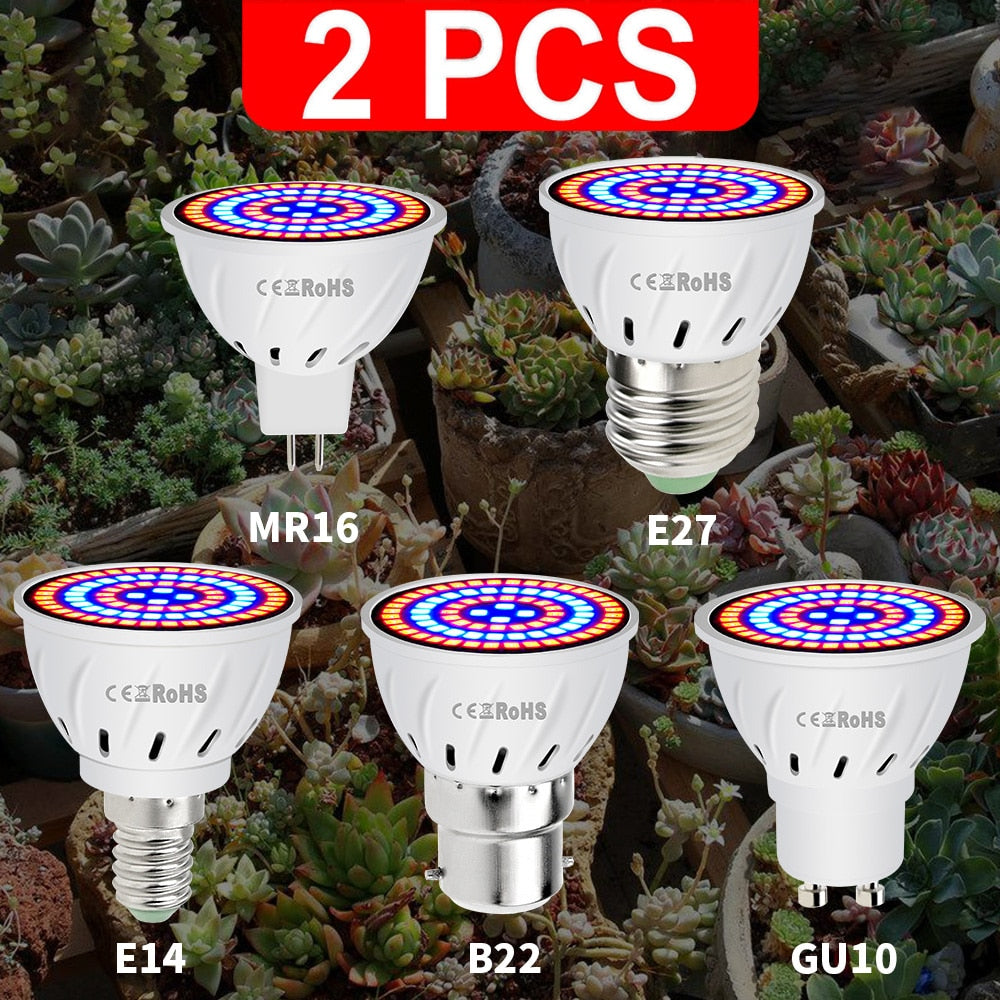 Led Hydroponic Plant Growth