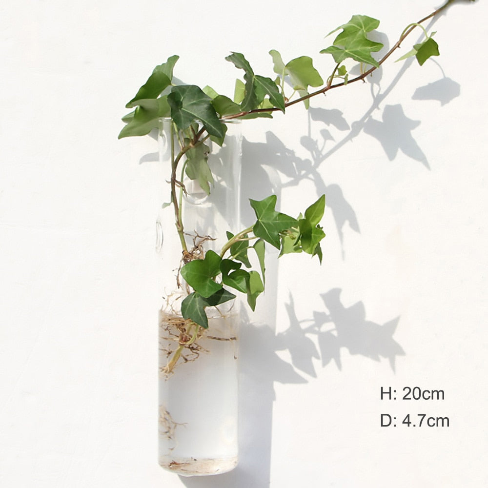 Wall Hanging Glass vase