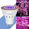 Led Hydroponic Plant Growth