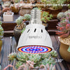 Led Hydroponic Plant Growth