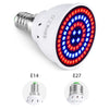 Led Hydroponic Plant Growth