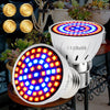 Led Hydroponic Plant Growth