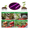 Plants High Luminous Efficiency Grow Light
