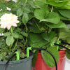 Drip Irrigation System Kit