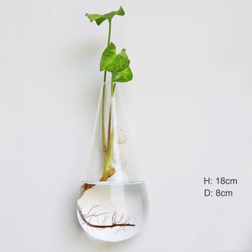 Wall Hanging Glass vase