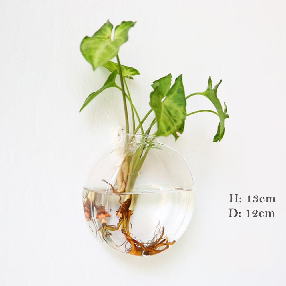 Wall Hanging Glass vase