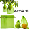 Grapes Fruit Protection Bags