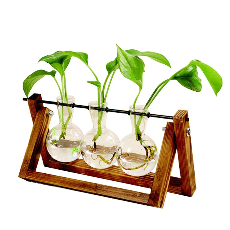 Wooden Frame Transparent Vase