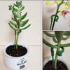 Plant Supports Flower Fixing Tool