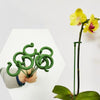 Plant Supports Flower Fixing Tool