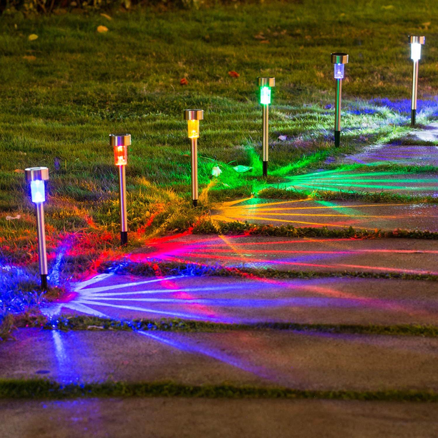 Garden Solar Lights