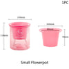 Mini Self Watering Planter