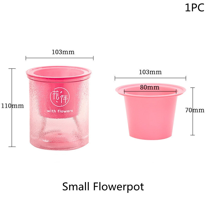 Mini Self Watering Planter
