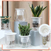 Mini Self Watering Planter