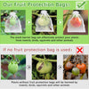 Grapes Fruit Protection Bags