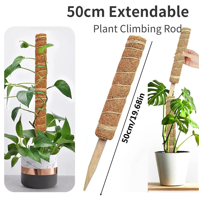 Reusable Plant Cages Supports