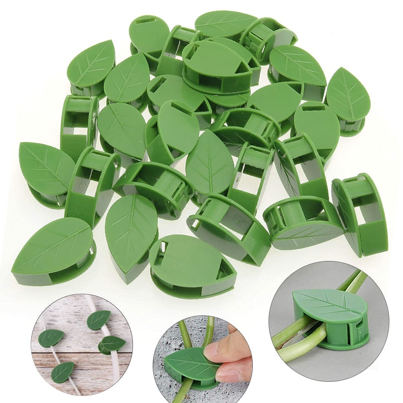 Bracket Fixed Buckle Leaf Clips