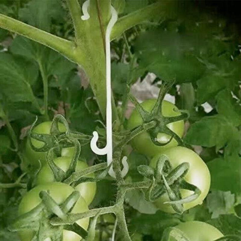 Tomato Support J Hooks