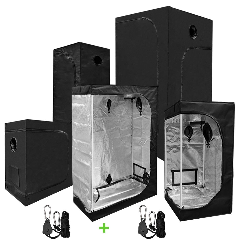 Plant Grow Box