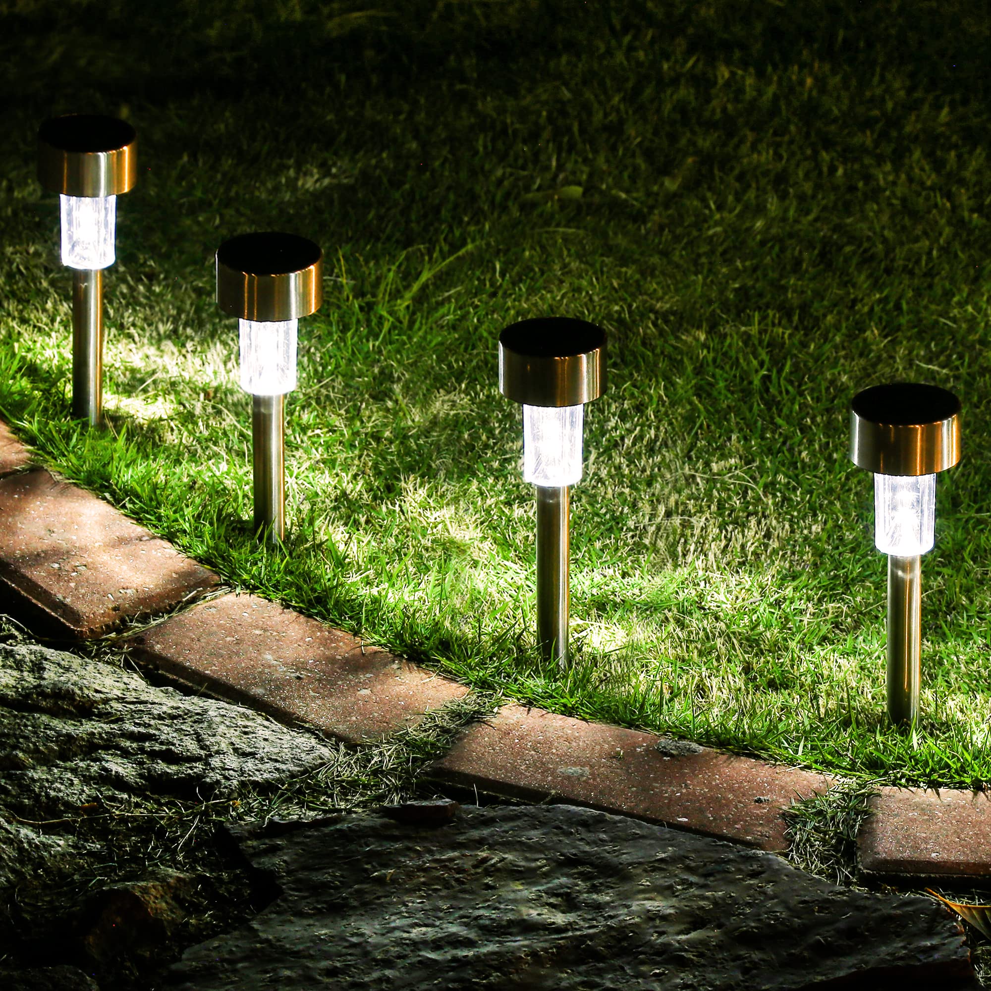Garden Solar Lights