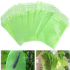 Grapes Fruit Protection Bags