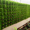 Wall Hanging Planting Bags