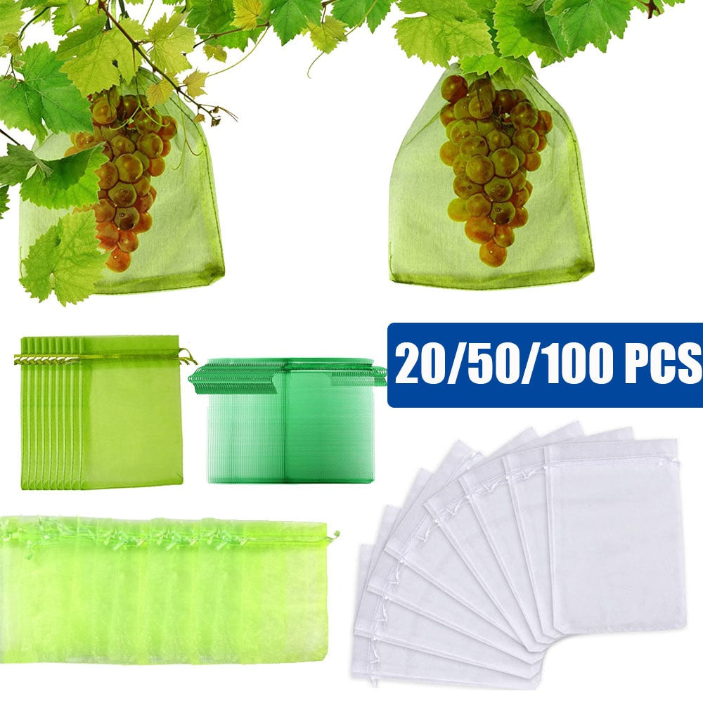 Grapes Fruit Protection Bags
