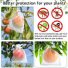 Grapes Fruit Protection Bags