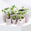 Biodegradable Plant Grow Bags